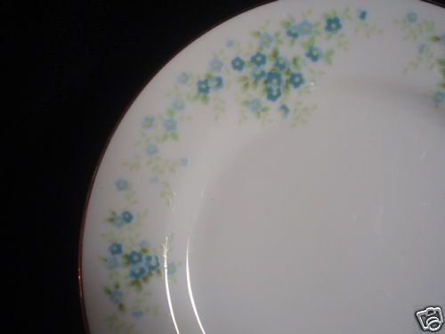 Cotillion Enchantment #4104 Japan Chop Plate  