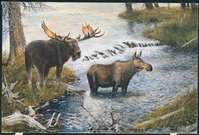 Gamini Ratnavira Moose Print  12 X 7.75  