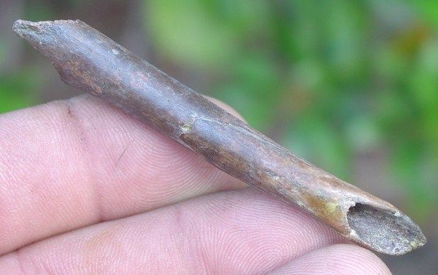 Rare Poverty Point Indian Bone Projectile Artifact  