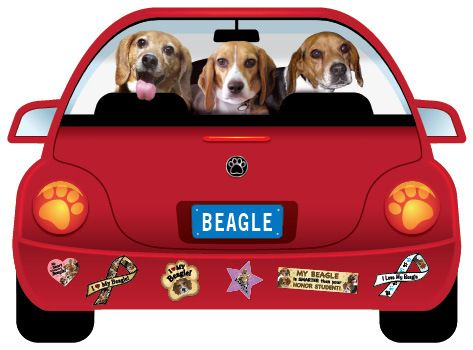 Beagle Pupmobile Car Magnet  