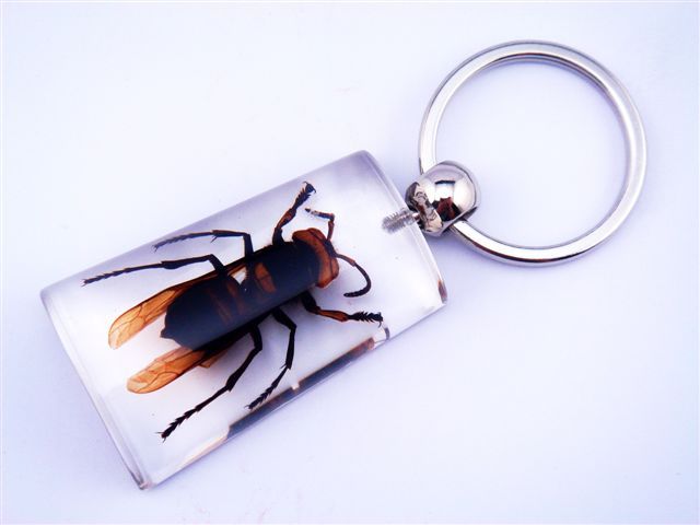 Fossil Amber Like Rare Real Wild Bug Inside Keychain  