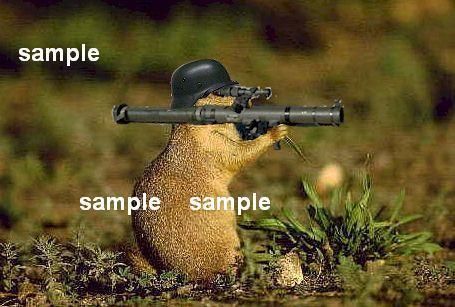 Laws Rocket Bazooka Squirrel PHOTOGRAPH get Osama FUNNY  