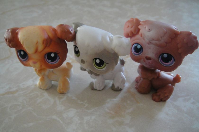 Littlest Pet Shop 3 RARE Different Poodle Dog Puppy Lot EUC  