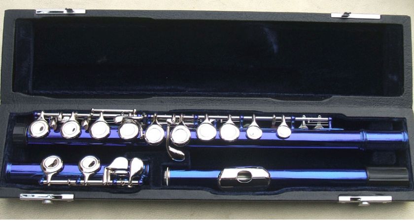 BLUE 16 holes flute closed beautiful shape +E key  