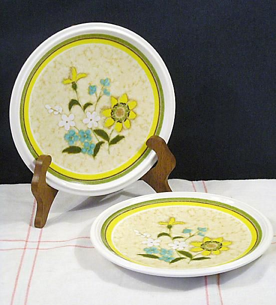 Set of 2 Mikasa A La Mode Freshness Salad Plates Lot  