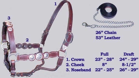 Premium Leather Horse Halter w/ Silver Conchos Draft BR  