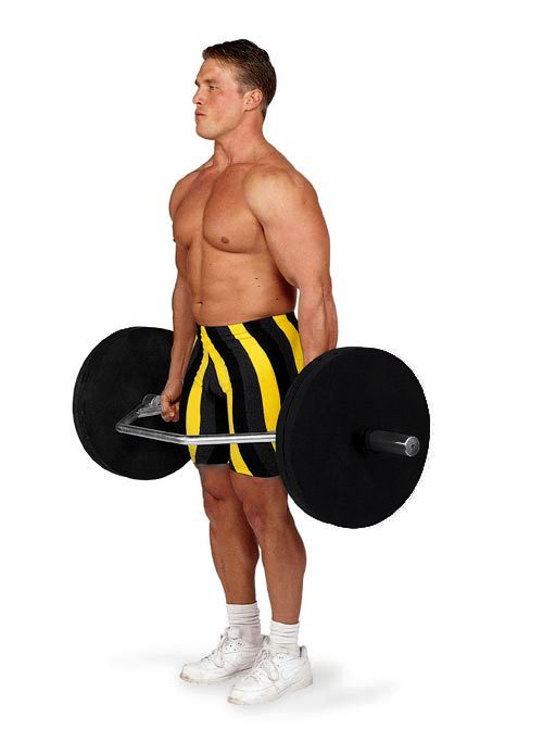 NEW Body Solid Olympic Shrug Weight Bar Model OTB50  