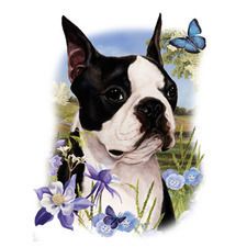 BOSTON TERRIER fabric panel & paws fabric panel tb  