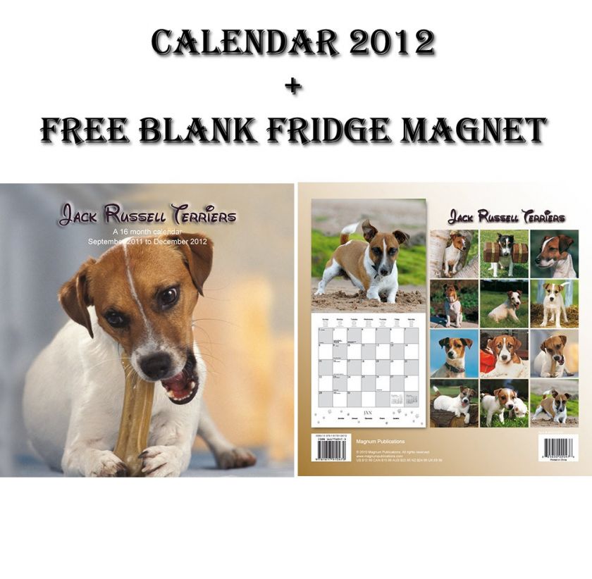 12 (305mm x 305mm) Month to View, Wire Stitched 16 Month Calendar 