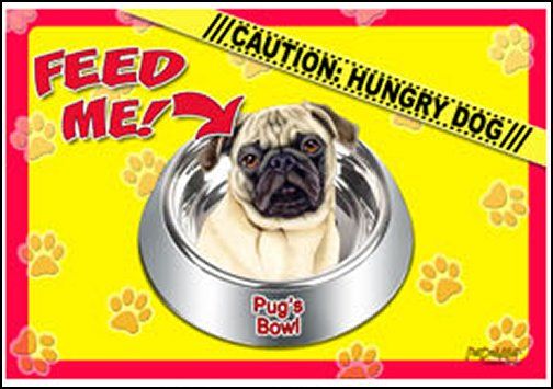 Pug (tan) 17x11 1/2 2 Sided Color Dog Placemat  