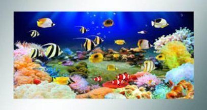 Lighted Virtual Moving Fish Tank Picture. Medium 26x18 Mirror frame 