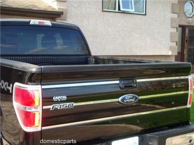 2009 2010 FORD F150 6 PC TAILGATE INSERT TRIM  