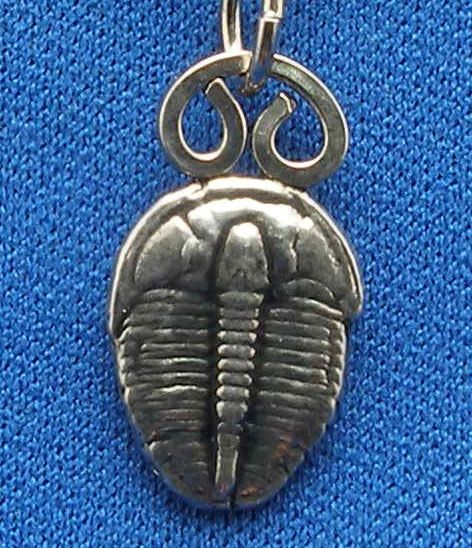 Trilobite Necklace sterling silver 9/16 Elrathia kingi  