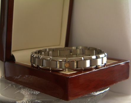 Mens Titanium Prestige SOLID GOLD Bracelet TB005  